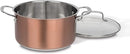 Cuisinart 10-Piece Stainless Steel Classic Collection Copper Blemished package with full warranty- CSS-10MCC