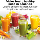 HAMILTON BEACH PROFESSIONAL 67906 Centrifugal Extractor Juicer - Refurbished with Home Essentials warranty
