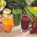 HAMILTON BEACH Masticating Slow Juicer - 67951