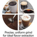 HAMILTON BEACH PROFESSIONAL 80405 Conical Burr Digital Coffee Grinder