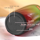 T&G Potable Led Flashing Light Wireless Speaker -TG-317