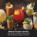 NINJA BR201CCO Professional Blender 2.0 - Factory serviced with Home Essentials warranty