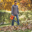 BLACK+DECKER 3in1 Blower, Vacuum & Mulcher - BV2900