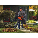 BLACK+DECKER 3in1 Blower, Vacuum & Mulcher - BV2900