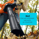 BLACK+DECKER BV6600 High Performance Blower/Vac/Mulcher