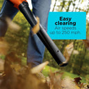 BLACK+DECKER BV6600 High Performance Blower/Vac/Mulcher