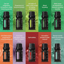 PURE DAILY CARE Ultimate Aromatherapy Diffuser with 10 Essential Oils Set - DIFFUSER