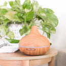 PURE DAILY CARE Ultimate Aromatherapy Diffuser with 10 Essential Oils Set - DIFFUSER