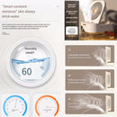 DUAL SPRAY 3-in-1 Portable Fan Air Conditioner With Mist