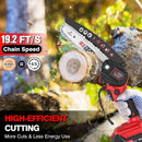 RLSOO 6-Inch Cordless Mini Chainsaw With 2 Batteries