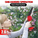 RLSOO 6-Inch Cordless Mini Chainsaw With 2 Batteries