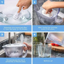 LEVOIT Water Filter Pitcher 10 Cup - LV110WP