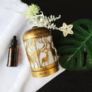 Diffuseur d'huiles essentielles BEFANO 200ML